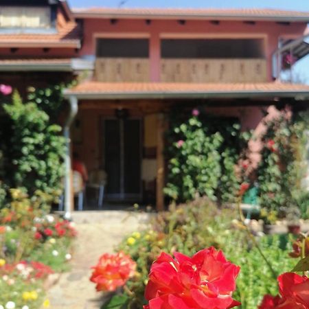 Apartman Mika Soko Banja Exterior foto